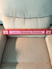 Vintage 1982(?) Strawberry Shortcake Store Display Shelf Talker Good condition