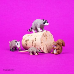 Itty Bitty City Critters (Bag of 8) – Miniature Animal Figurines – Archie McPhee