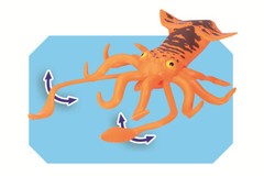 Fun Storm Deep Sea Biology Series Sperm Whale King Octopus Children’s Model Toy