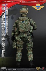 1/6 Scale PLA AF AB Comm. Spec. Ver. w/Robot Dog G1 Dx Ver. – MINT IN BOX