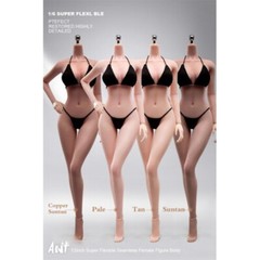 ANT 1:6 Flexible Medium Breast 12 inch Female Seamless Action Figure Body Dolls
