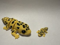 NEW! 3D Printed Articulated/Flexible Animals! Multiple Sizes!