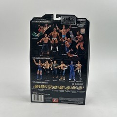 2005 Jakks WWE Deluxe Aggression John Cena Series 1 Limited Edition Figure