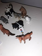 Mojo Lot Of Domestic & Wild Animals 2 in black cat, black bear, snowy owl, rabbi