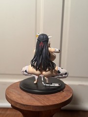 Shijyoji Airi – 1/5 figure scale (Frog, Native) Asanagi