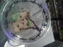 Marvel’s Ant Man Custom, Antman In A Jar.