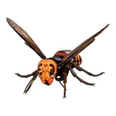 The Diversity of Life on Earth Advance Wasp Hornet 02 Figure Bandai Capsule Toy