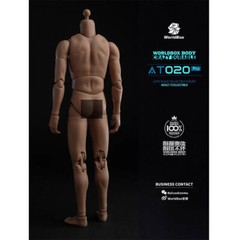 WorldBox 1:6 AT020 Pro Upgraded 12″ Male Muscle Action Figure Toys Body NO Head