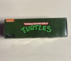 NECA TMNT Teenage Mutant Ninja Turtles Tokka And Rahzar Cartoon 2 Pack Brand New
