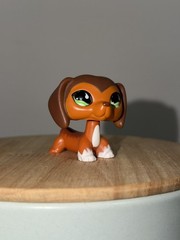 Littlest Pet Shop LPS Pet Training Park set #673 #674 #675 – Savvy 🧡