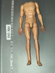 1/6 Scale Nude Basic Body – DID Steiner D80188