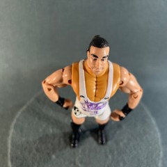 ECW Rob Van Dam Wrestling Action Figure 1999 The Original San Francisco Toymaker