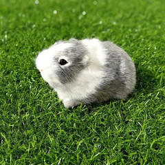Realistic Hamster Plush Toy Lifelike Soft Stuffed Animal Gift