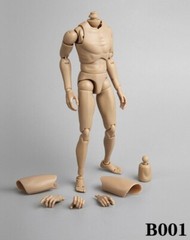 1/6 Scale Narrow Shoulder Male Action Figure B001 Fit HOT TOYS Head Sculpt