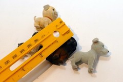Hasbro Toys 1994 Puppy In My Pocket Dog pack of four lot Vintage