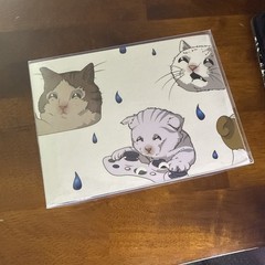 NEW YouTooz Collectibles MEME CRYING CAT Vinyl Figure 3in Tall Schmuserkadser