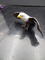 Boley Bald Eagle PVC Figure 7″ Wingspan Free Shipping! T2978
