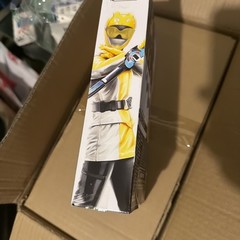 Power Ranger Lightning Collection Action Figures