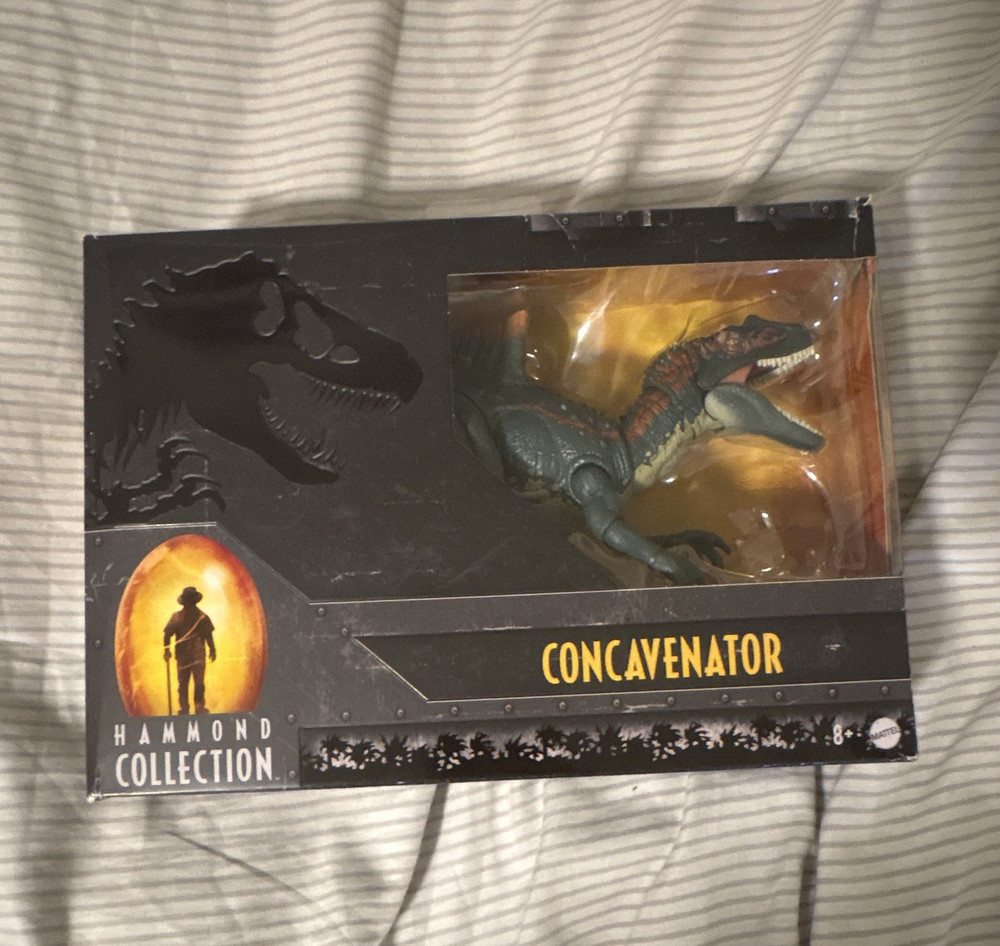 Hammond Collection Concavenator Excellent Collection Everything In Box