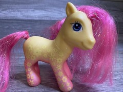 My Little Pony 2006 G3 Crystal Princess Pretty Patterns Summer Bloom