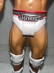 WWE Series 19 Jinder Mahal Basic Action Wrestling Figure Mattel 2011 1st In Line