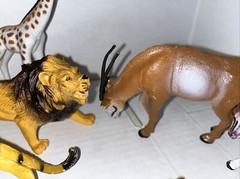 Animal Toy Plastic Figure Safari Zoo Forest Jungle Safari Toy Major Unknown