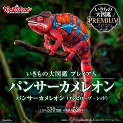 Premium Living Creatures Encyclopedia Panther Chameleon Ambilobe Green & Red
