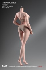 US ANT 1/6 T307B Pale Skin Muscular Girl 12″ Female Action Figure Body Toys
