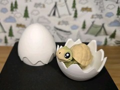 🐢 Mini Tortoise with Egg – 3D Printed Articulated Flexi Fidget Toy Desk! 🐢