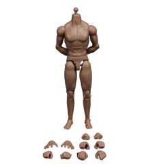 1/12 Scale Standard Male Body & Hands Model for 6″ Figure